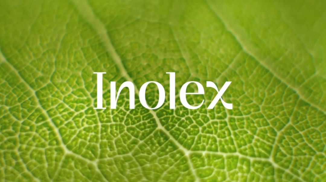 個(gè)人護(hù)理品牌 Inolex 品牌形象